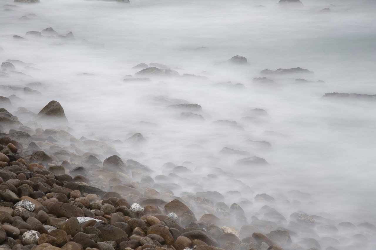 강원도 태백 해바라기 축제, 여름의 서정적인 풍경을 만나보세요