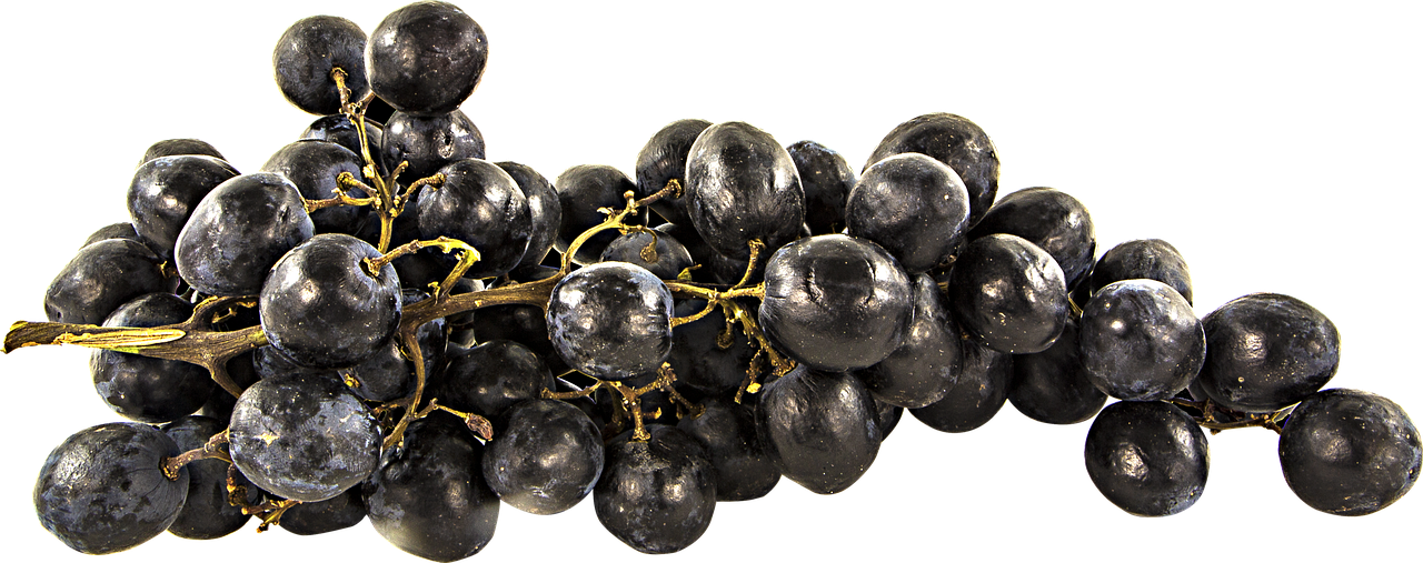 김포의 보물 같은 장소: 라베니체 문보트에서 느낀 특별한 하루