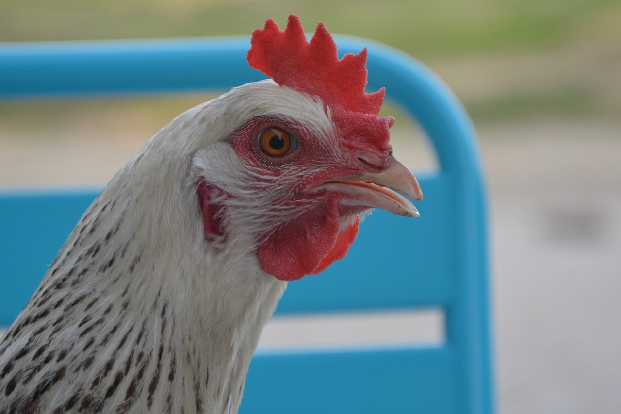 강원도 소소민박: 가성비로 즐기는 완벽한 힐링 여행