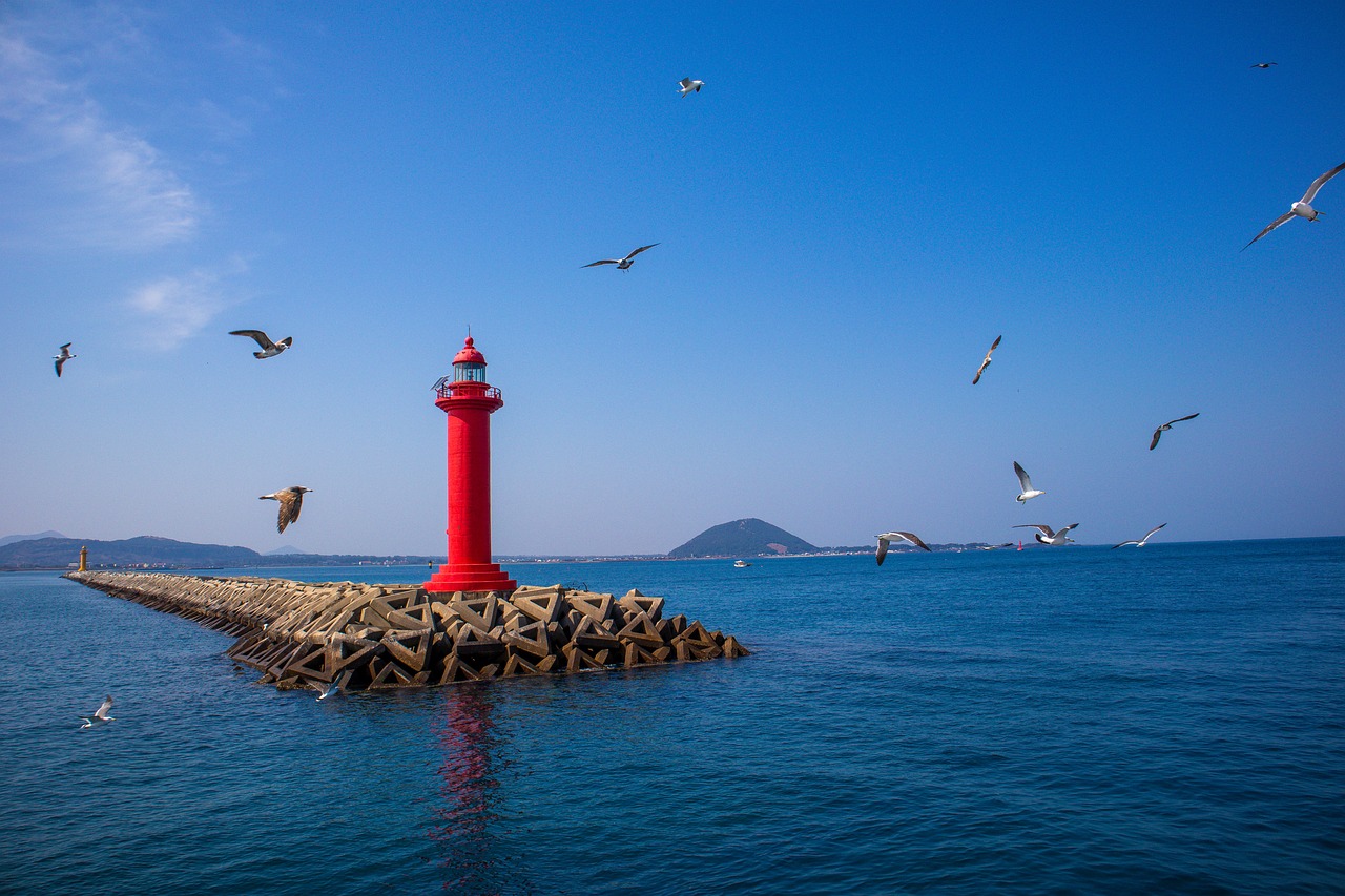 제주 유채꽃 축제와 휴애리 자연생활공원: 두근두근 봄날의 기억 제주 유채꽃 축제와 휴애리 자연생활공원: 두근두근 봄날의 기억