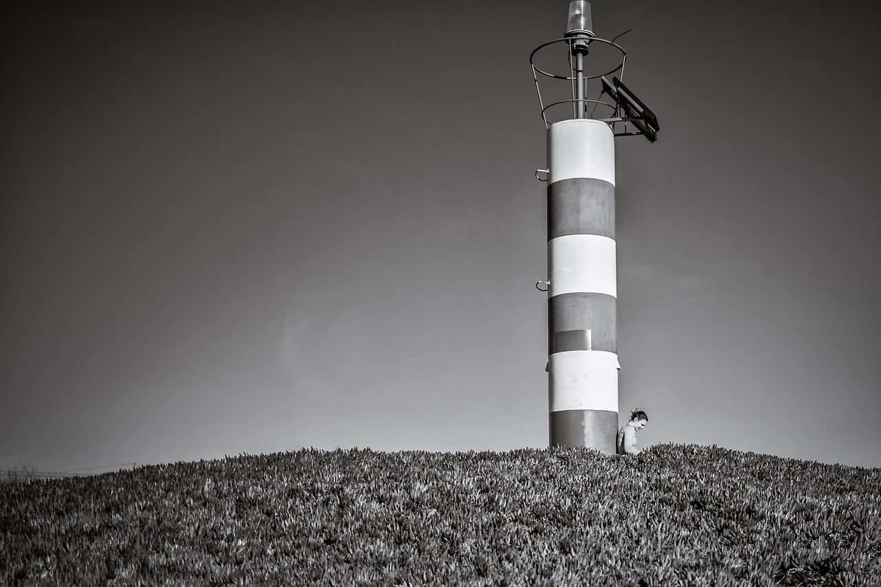 여유롭게 즐기는 거제도 수국의 매력