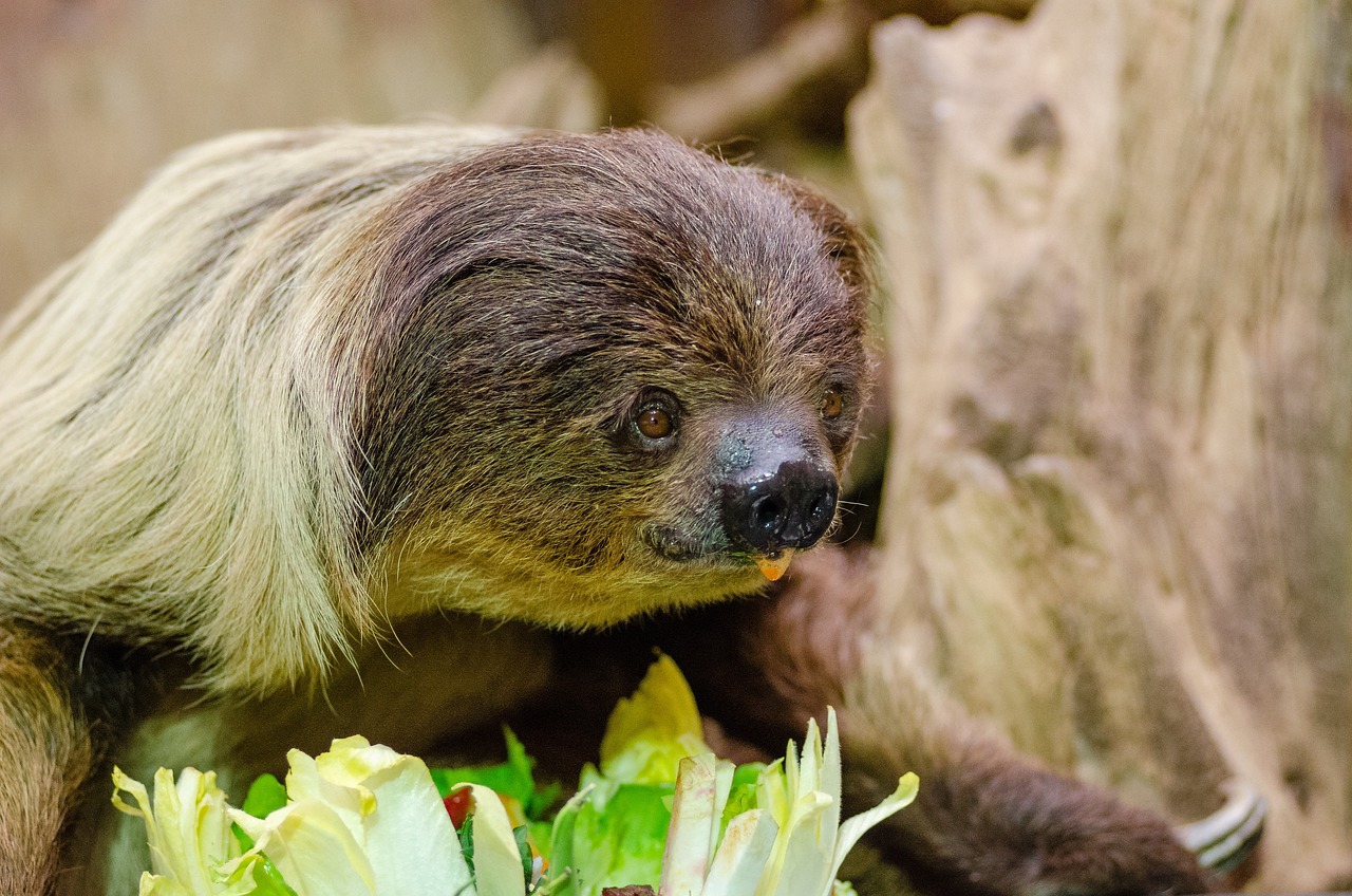 착한 사막여우가 전하는 따뜻한 이야기