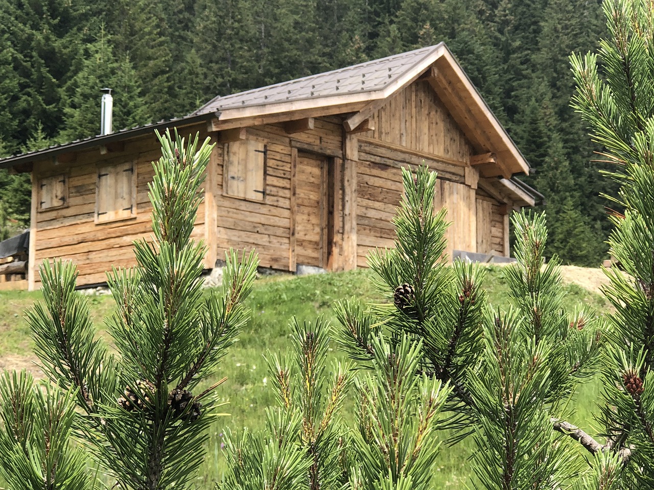 제주도에서 가족과의 완벽한 휴식을 위한 소노벨 제주 후기