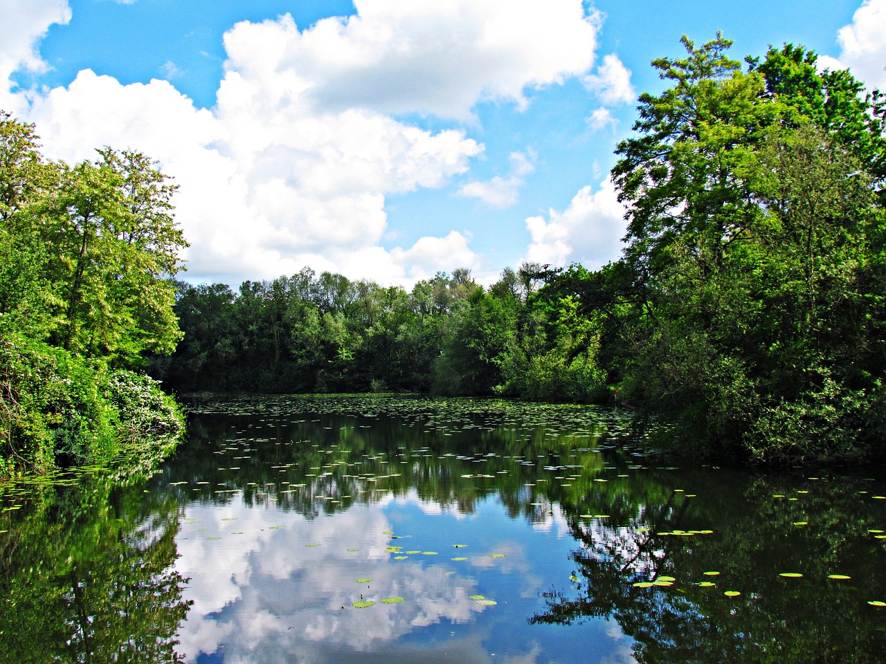 서울 도시가스 요금 조회의 모든 것: 빠르고 간편한 방법 안내