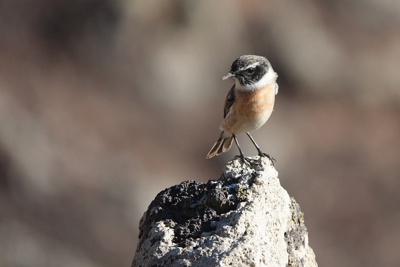 안정성과 미래가치: 주안 스카이파크 시민공원역 민간임대아파트의 매력