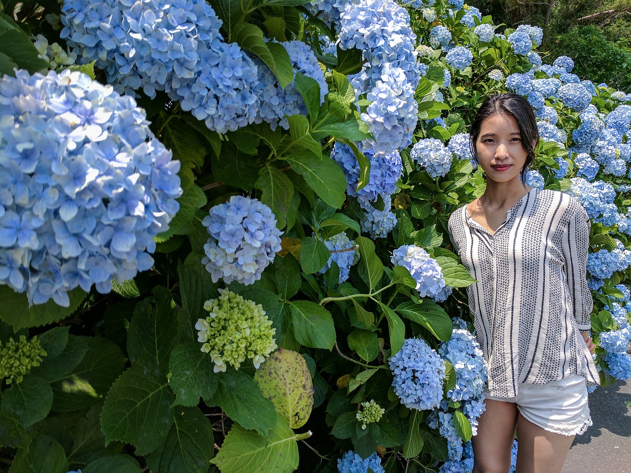 제주 서쪽의 잊지 못할 감성숙소 메종드 제주에서의 완벽한 여행 제주 서쪽의 잊지 못할 감성숙소 메종드 제주에서의 완벽한 여행