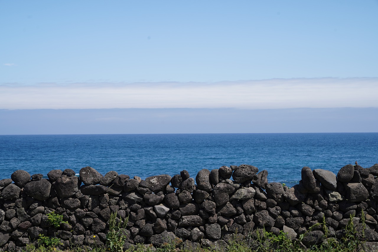 제주도 비 오는 날, 아이와 함께 즐길 수 있는 특별한 시간!