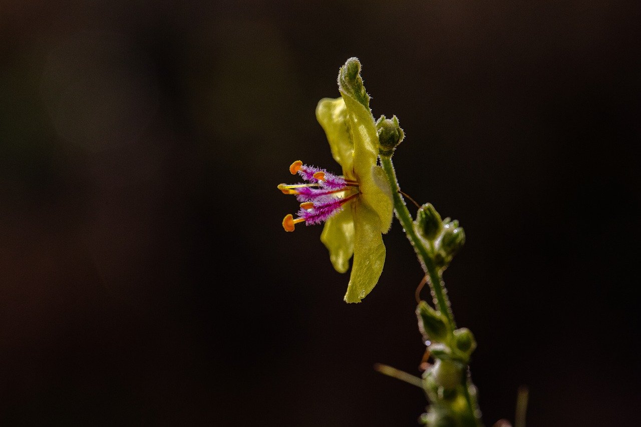 정부24에서 나의 의료 기록을 확인하는 방법: 실비보험 청구 놓치지 마세요!