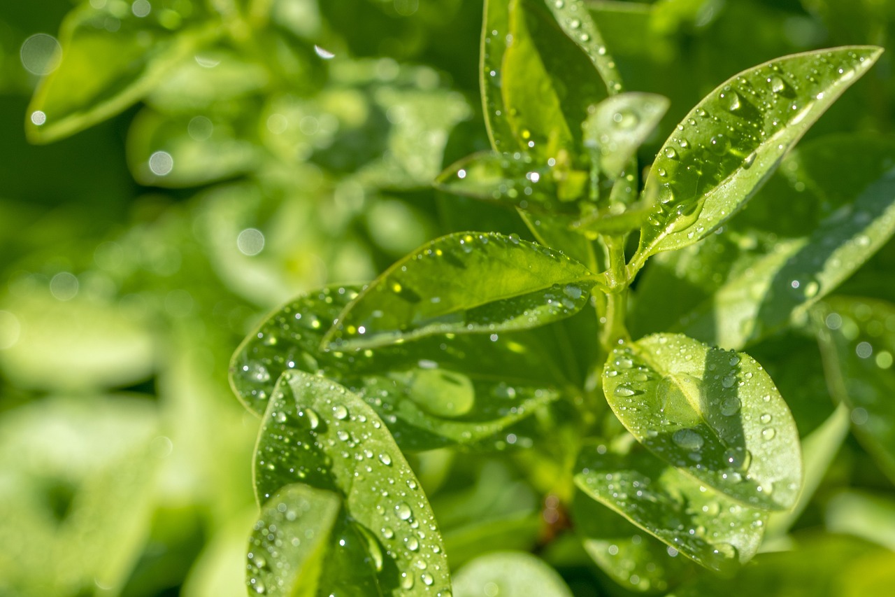 매년 기다려지는 보너스, 연말정산의 모든 것을 파헤쳐 보세요!