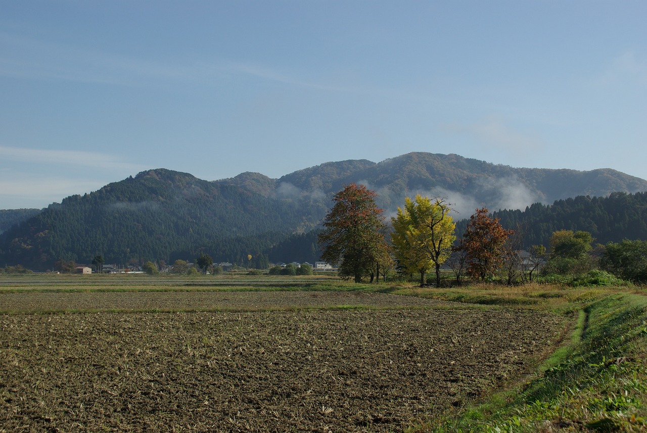 HMM 주식 분석 주가 전망 목표가 손절가 매매 전략
