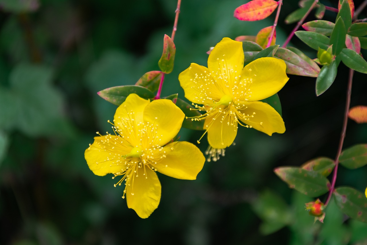 연말정산: 신용카드 소득공제, 어떤 항목이 제외될까?