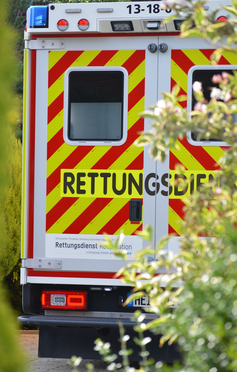 경계선 지능장애, 그 경계에서 살아가는 우리의 이해 경계선 지능장애, 그 경계에서 살아가는 우리의 이해