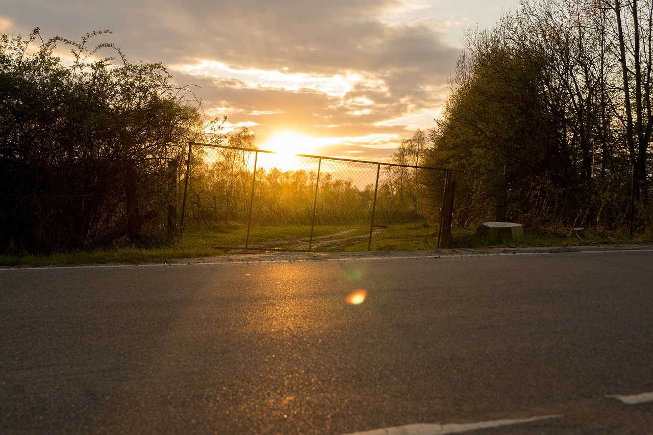 색맹과 색약, 똑똑하게 구별하는 법!