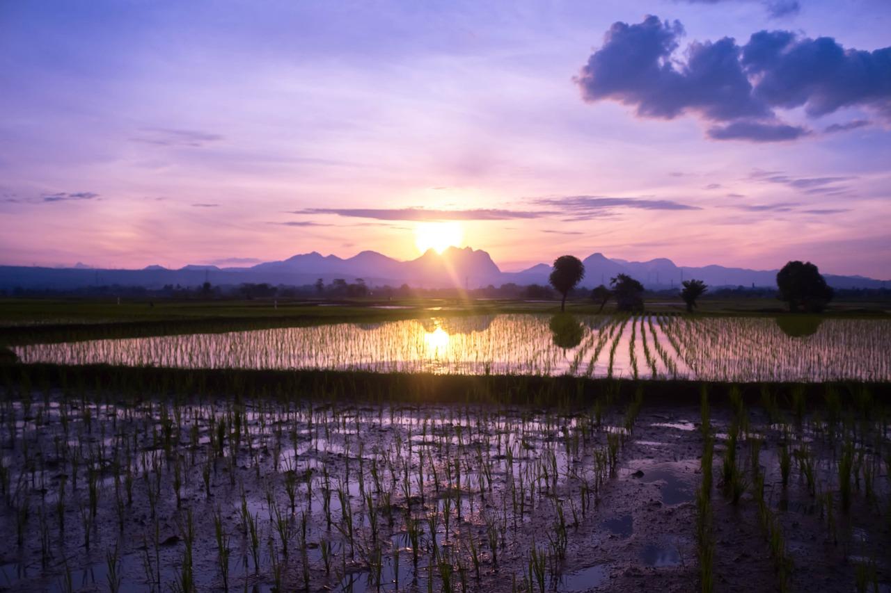 2023년 연말정산 환급금 확인 및 빠르게 받을 수 있는 비법 2023년 연말정산 환급금 확인 및 빠르게 받을 수 있는 비법