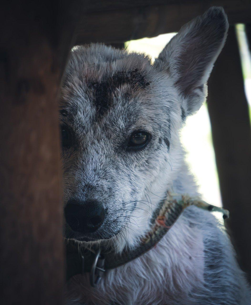 보라카이 자유여행 준비: 항공권, 호텔, 이트래블, e-SIM 걱정 없이 즐기는 여름휴가! 보라카이 자유여행 준비: 항공권, 호텔, 이트래블, e-SIM 걱정 없이 즐기는 여름휴가!
