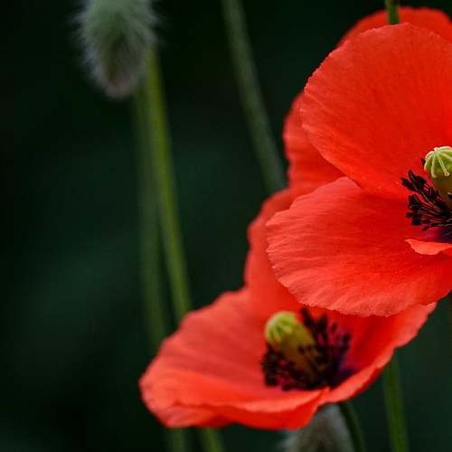 창원 마산합포구 대내동에서 폐업지원금 신청 방법 및 조건 완벽 가이드 창원 마산합포구 대내동에서 폐업지원금 신청 방법 및 조건 완벽 가이드