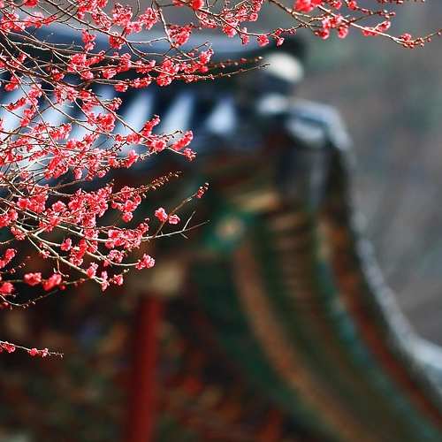 개인사업자 개인회생, 소상공인 대출 탕감의 실체는?