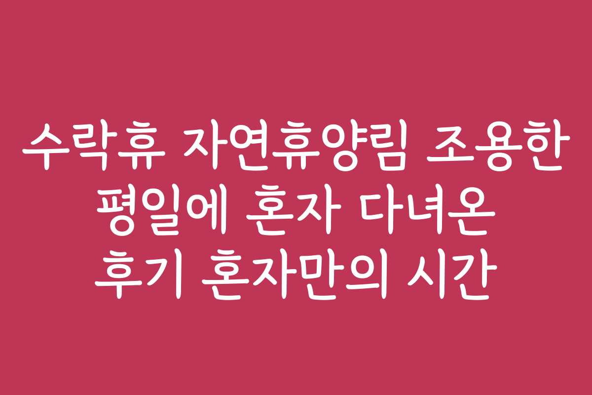 수락휴 자연휴양림 조용한 평일에 혼자 다녀온 후기 혼자만의 시간 수락휴 자연휴양림 조용한 평일에 혼자 다녀온 후기 혼자만의 시간