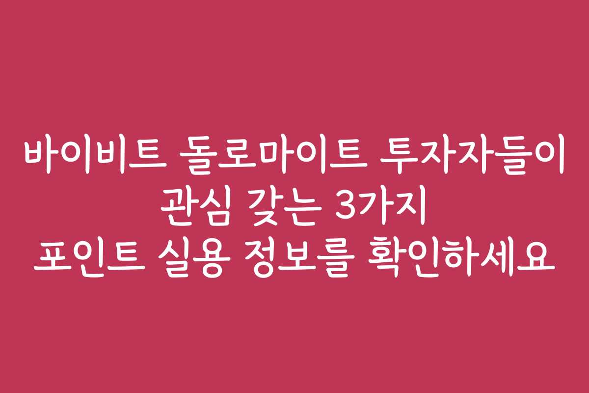 바이비트 돌로마이트 투자자들이 관심 갖는 3가지 포인트 실용 정보를 확인하세요