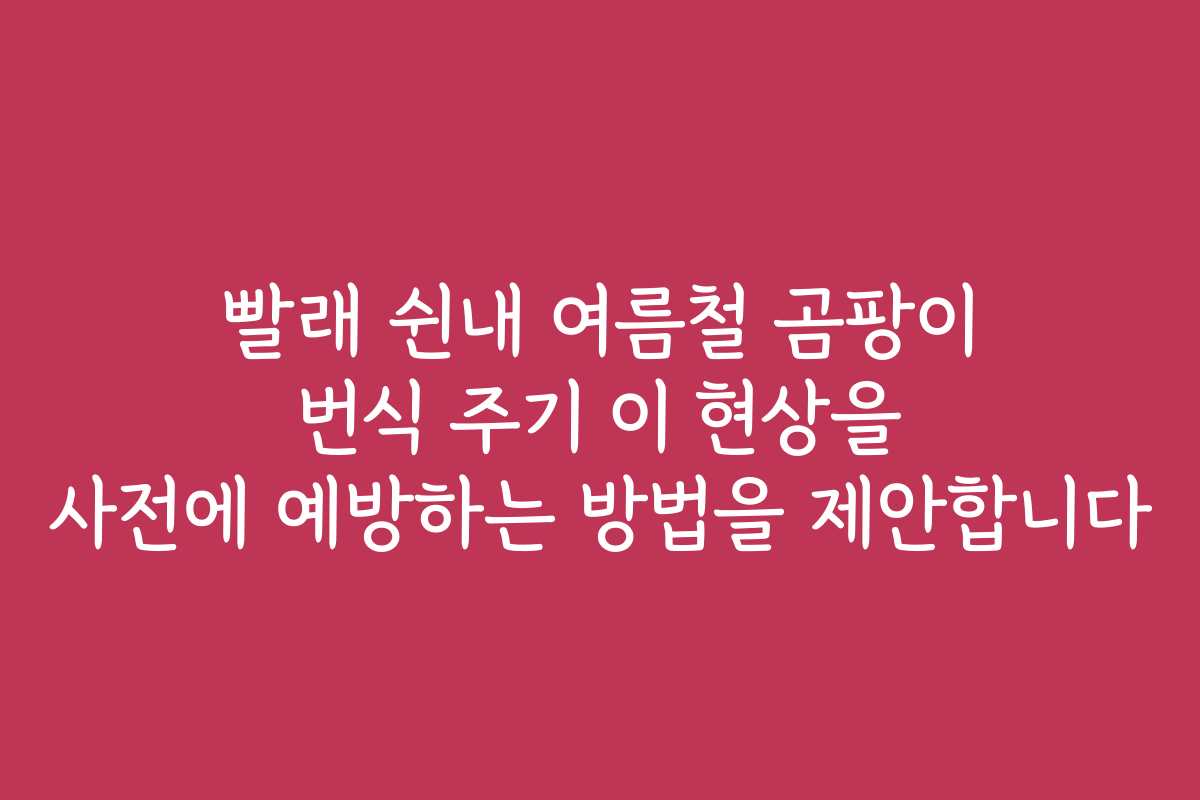 빨래 쉰내 여름철 곰팡이 번식 주기 이 현상을 사전에 예방하는 방법을 제안합니다
