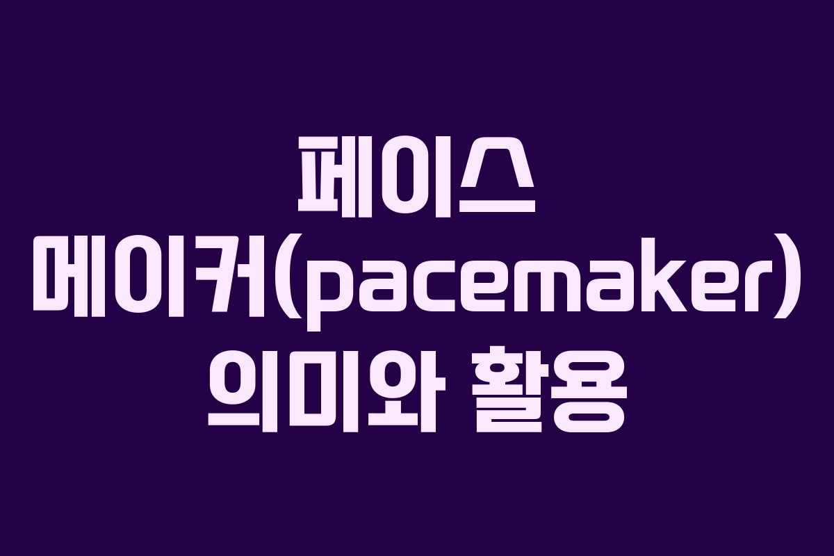 페이스 메이커(pacemaker) 의미와 활용
