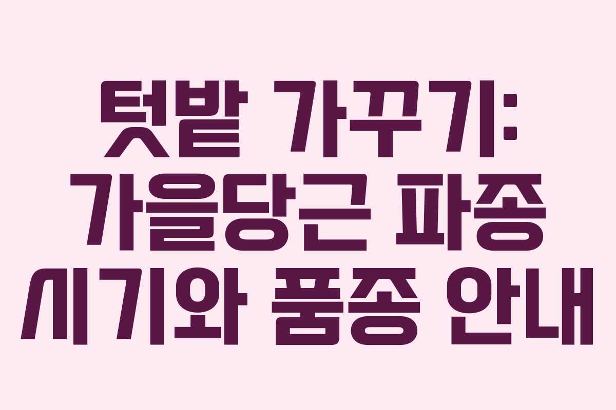 텃밭 가꾸기: 가을당근 파종 시기와 품종 안내