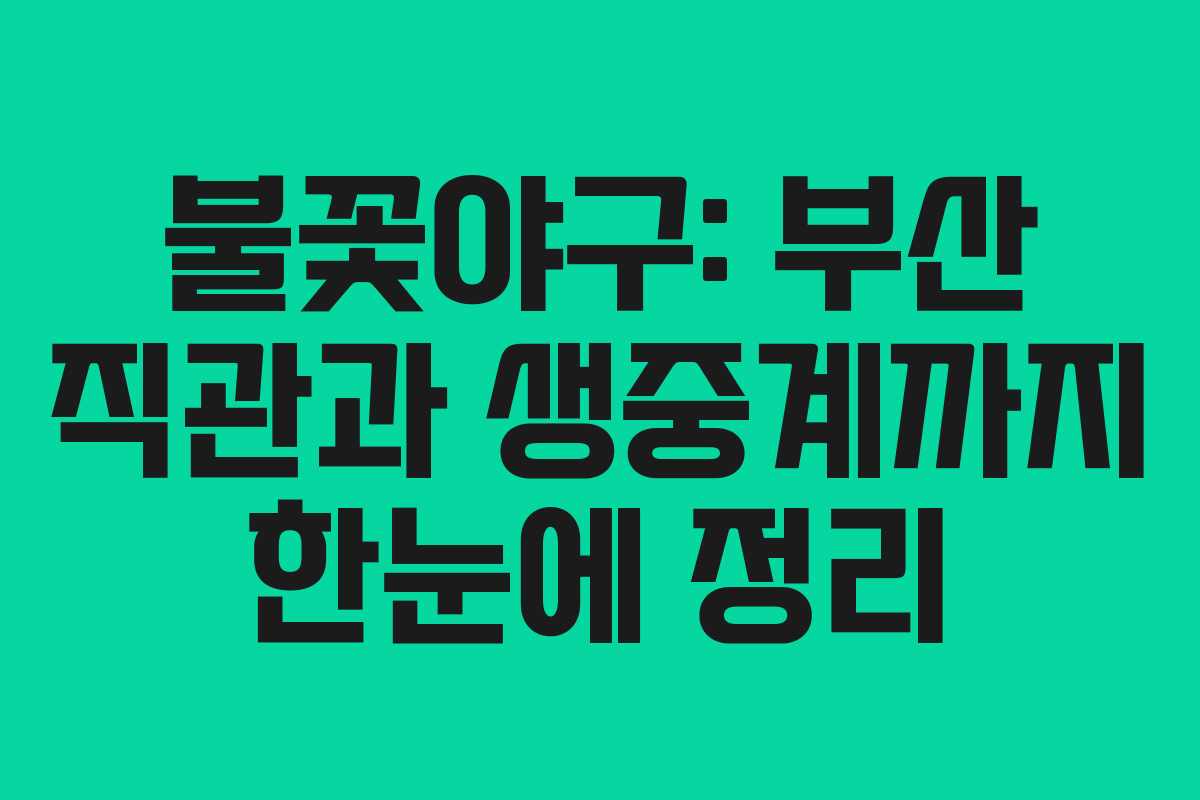 불꽃야구: 부산 직관과 생중계까지 한눈에 정리