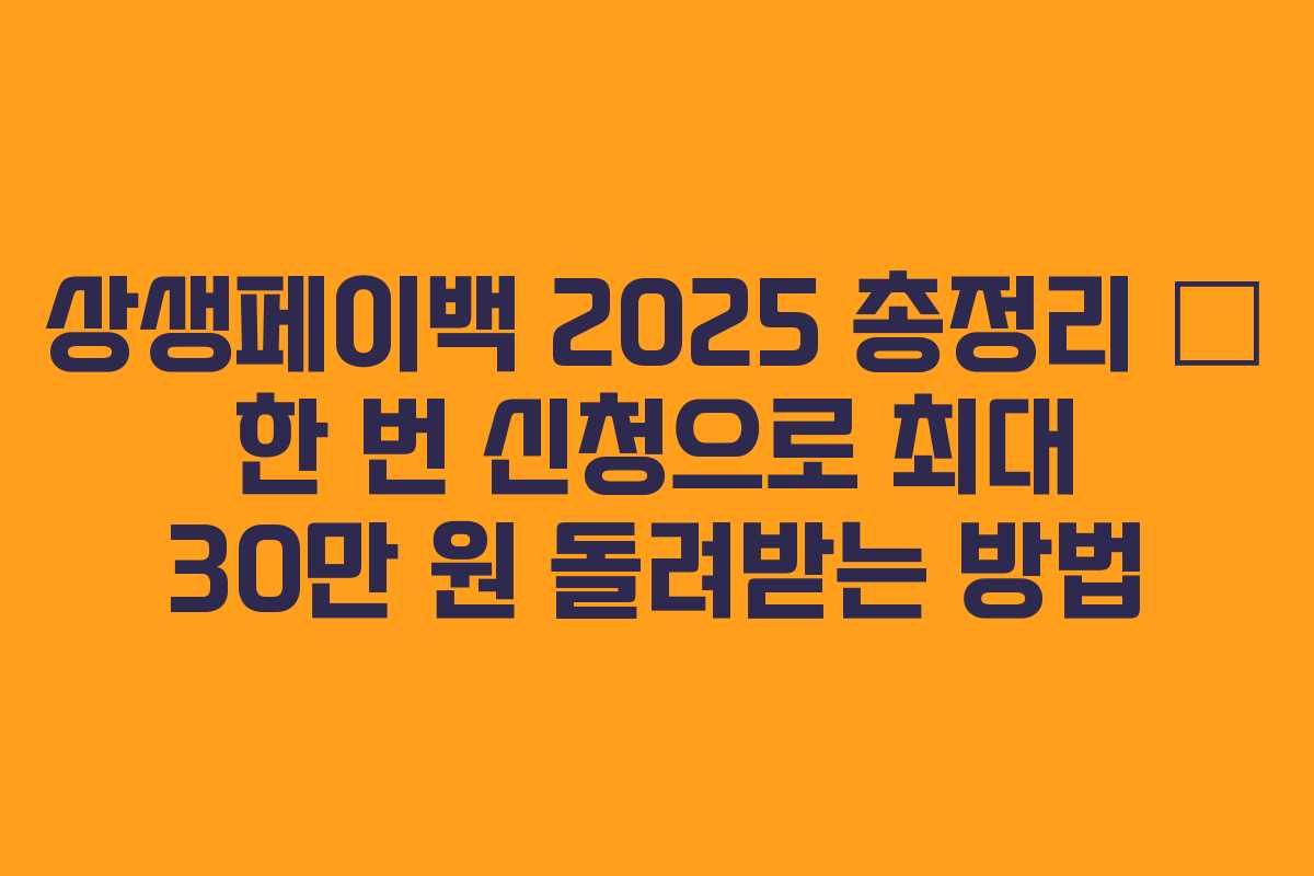 상생페이백 2025 총정리 – 한 번 신청으로 최대 30만 원 돌려받는 방법 상생페이백 2025 총정리 – 한 번 신청으로 최대 30만 원 돌려받는 방법