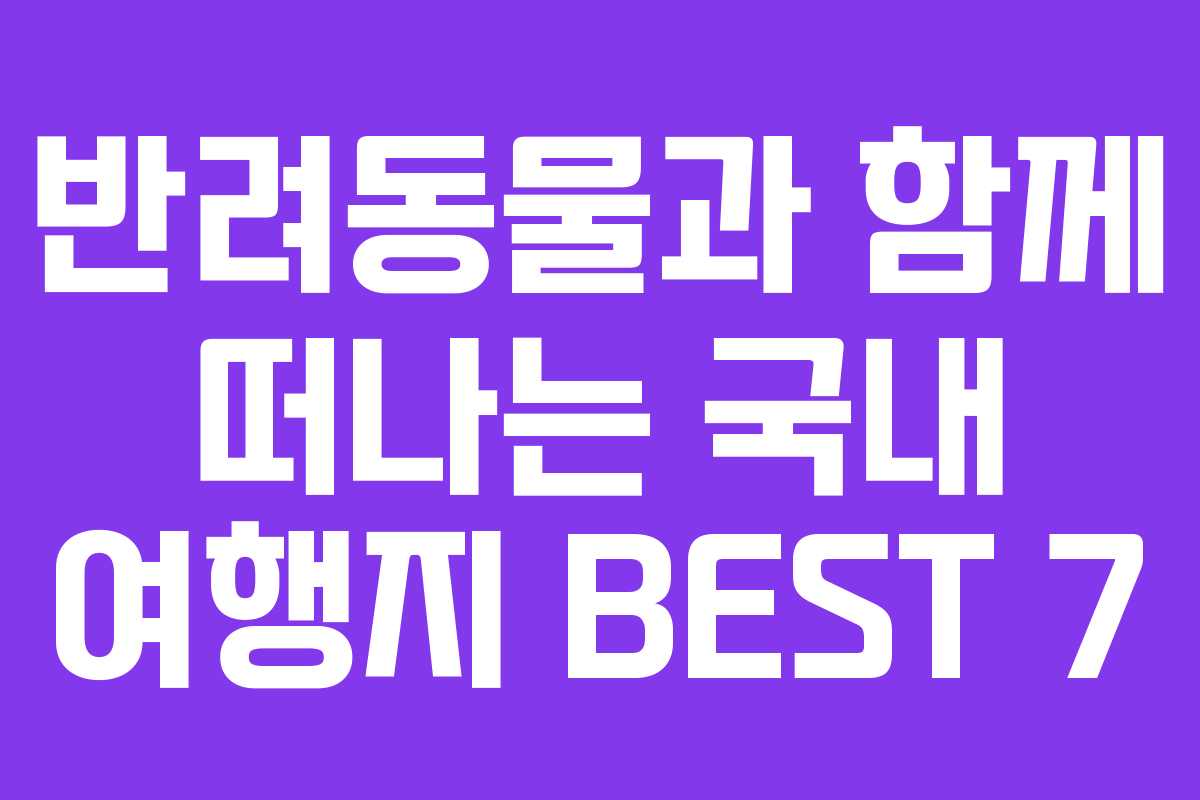 반려동물과 함께 떠나는 국내 여행지 BEST 7