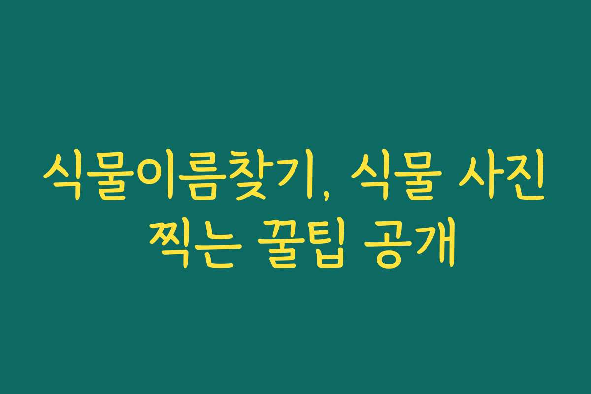 식물이름찾기, 식물 사진 찍는 꿀팁 공개