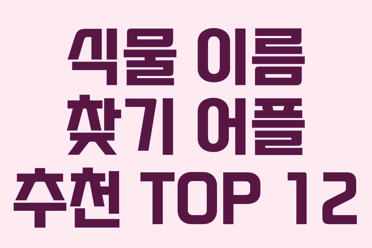 식물 이름 찾기 어플 추천 TOP 12