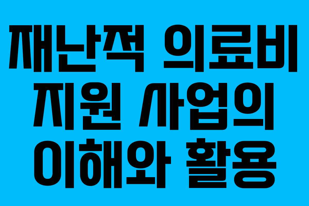 재난적 의료비 지원 사업의 이해와 활용