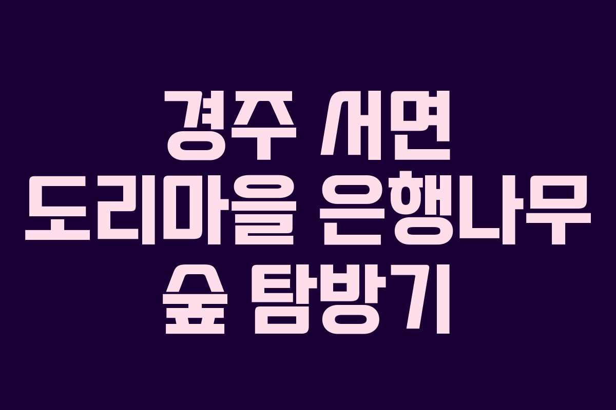 경주 서면 도리마을 은행나무 숲 탐방기