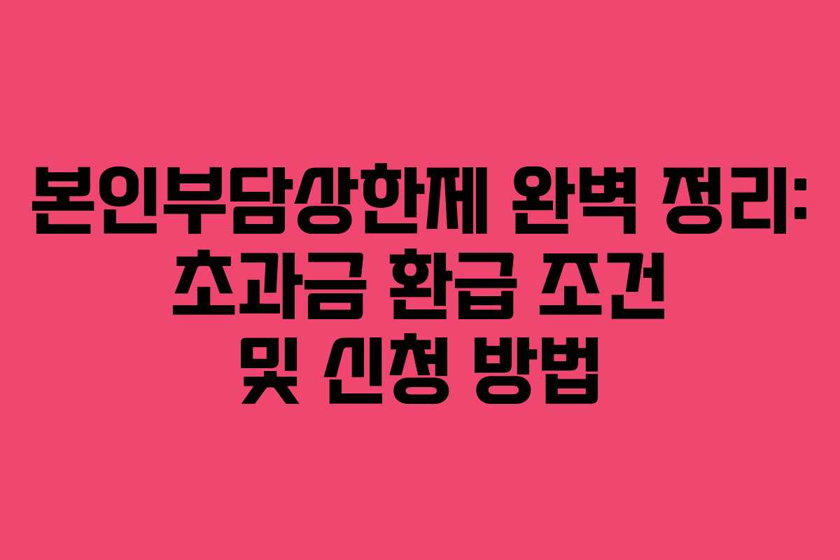 본인부담상한제 완벽 정리: 초과금 환급 조건 및 신청 방법