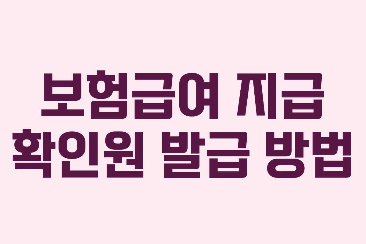 보험급여 지급 확인원 발급 방법