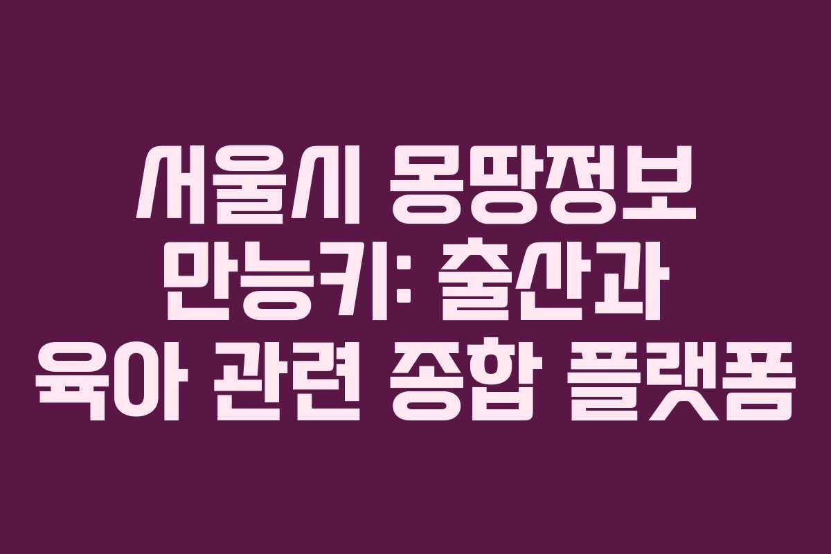 서울시 몽땅정보 만능키: 출산과 육아 관련 종합 플랫폼