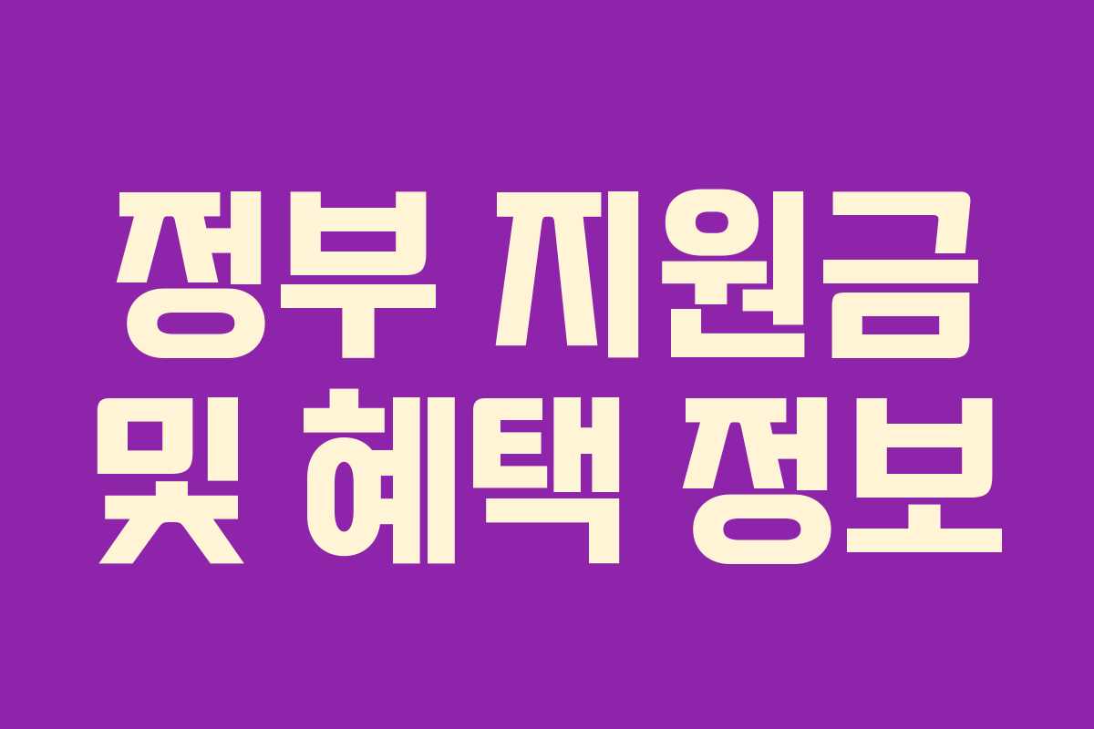 정부 지원금 및 혜택 정보