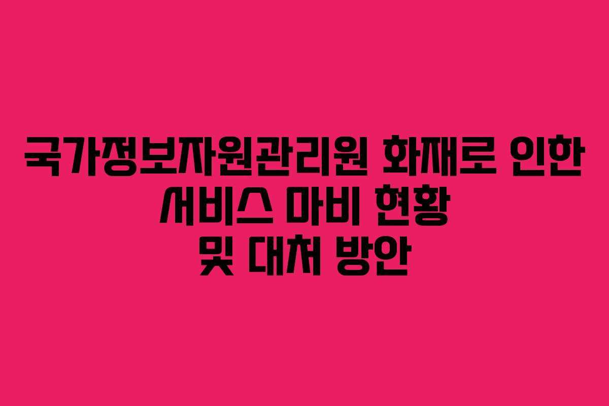 국가정보자원관리원 화재로 인한 서비스 마비 현황 및 대처 방안