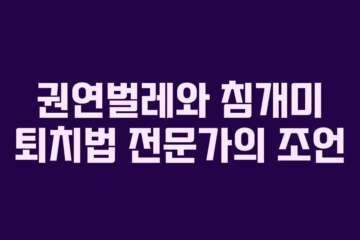 권연벌레와 침개미 퇴치법 전문가의 조언