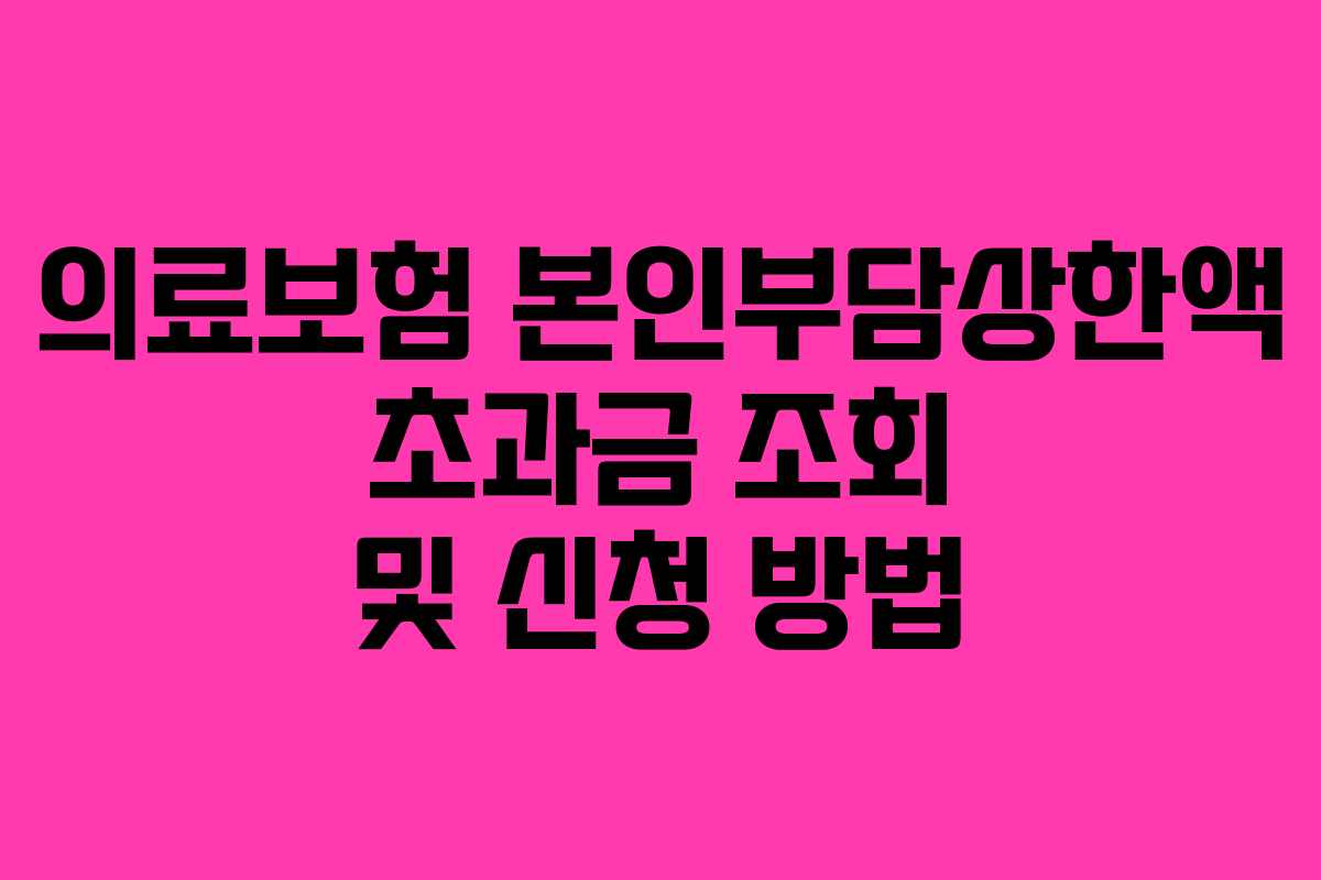 의료보험 본인부담상한액 초과금 조회 및 신청 방법