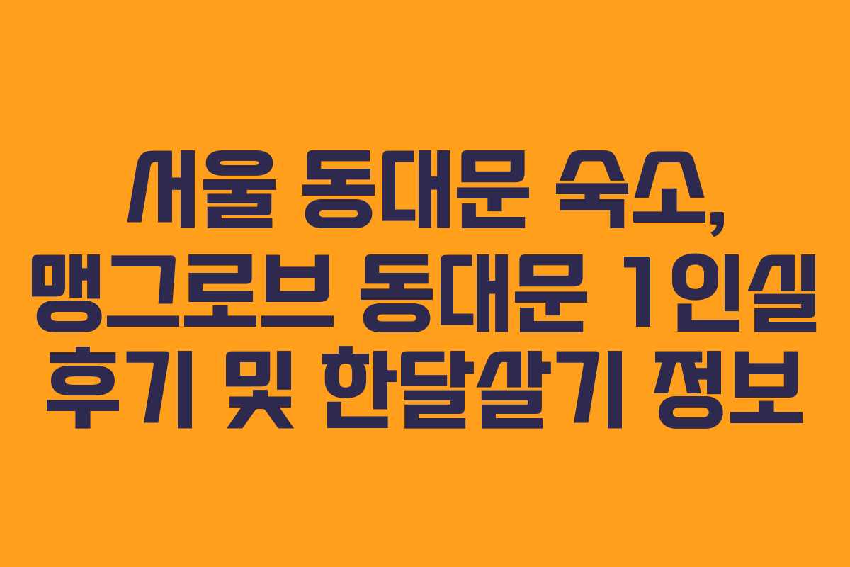서울 동대문 숙소, 맹그로브 동대문 1인실 후기 및 한달살기 정보