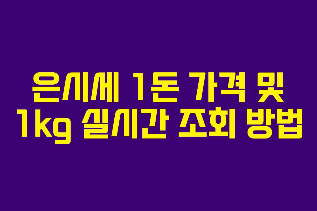 은시세 1돈 가격 및 1kg 실시간 조회 방법