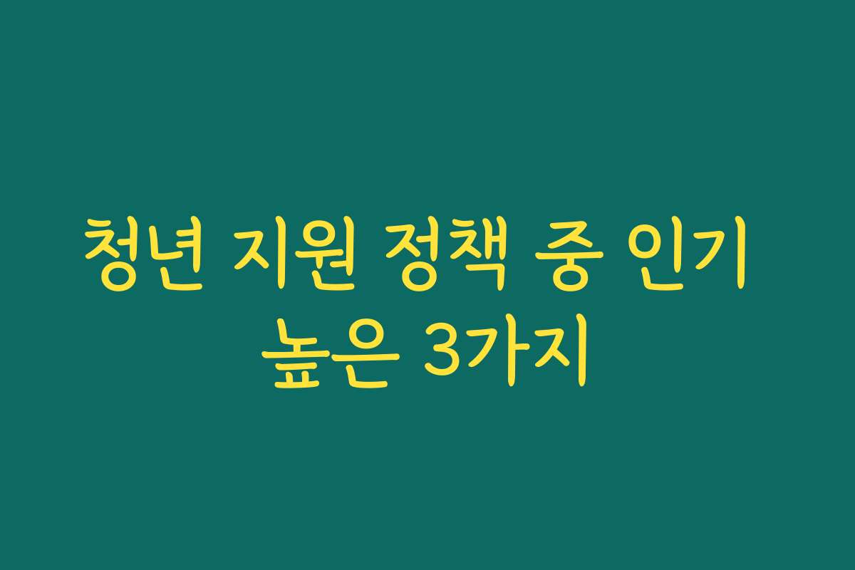 청년 지원 정책 중 인기 높은 3가지