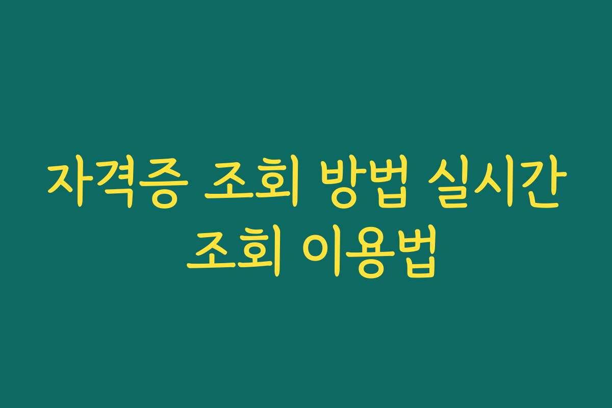 자격증 조회 방법 실시간 조회 이용법 자격증 조회 방법 실시간 조회 이용법