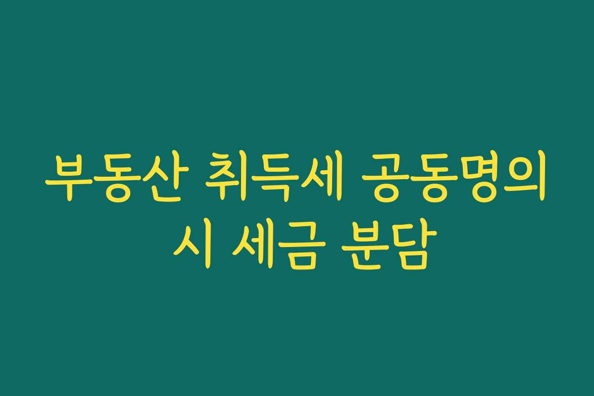 부동산 취득세 공동명의 시 세금 분담