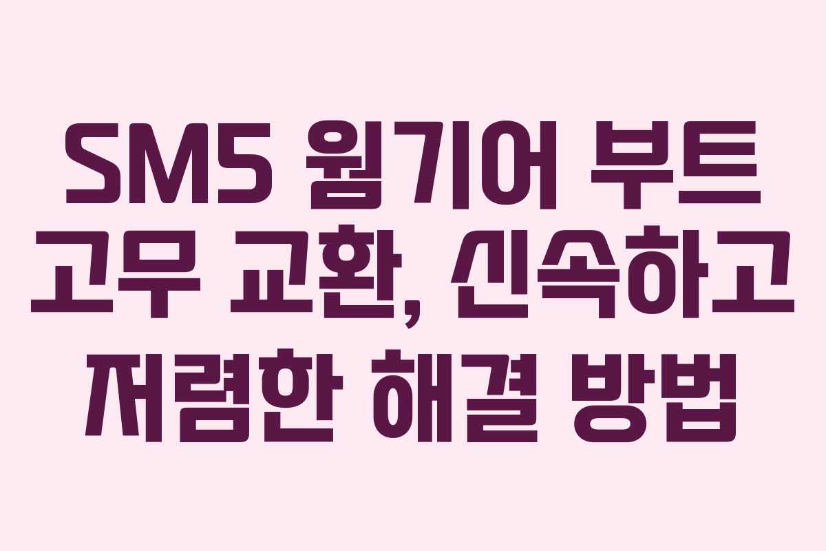 SM5 웜기어 부트 고무 교환, 신속하고 저렴한 해결 방법 SM5 웜기어 부트 고무 교환, 신속하고 저렴한 해결 방법