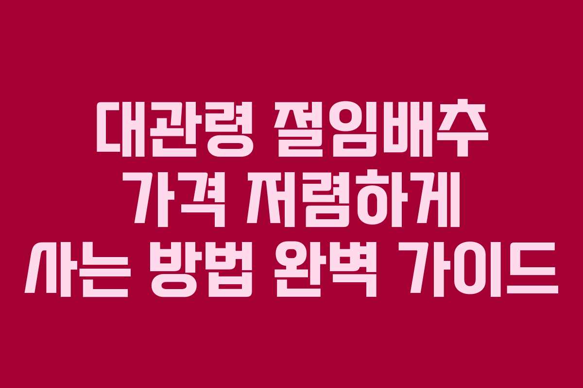 대관령 절임배추 가격 저렴하게 사는 방법 완벽 가이드