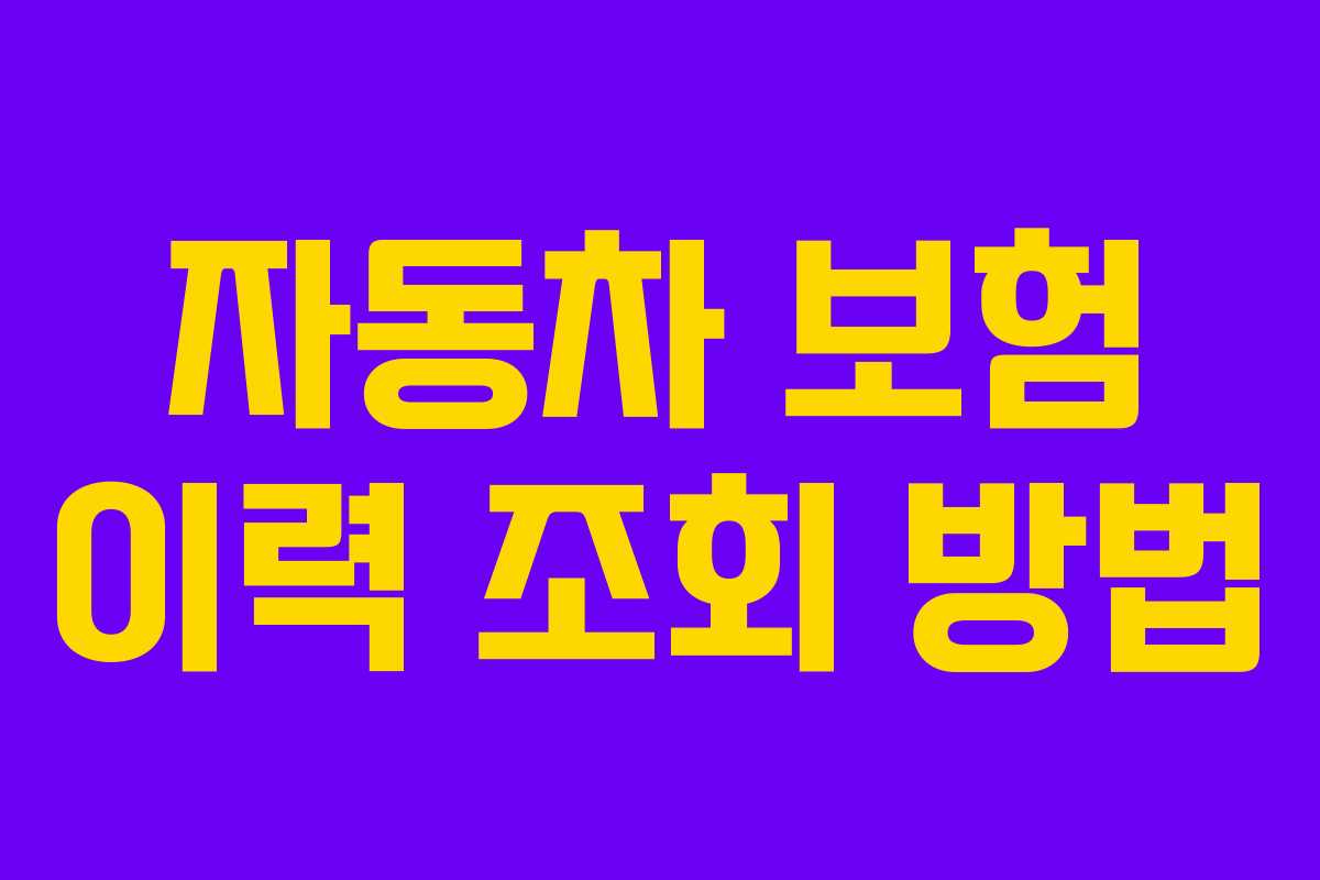 자동차 보험 이력 조회 방법