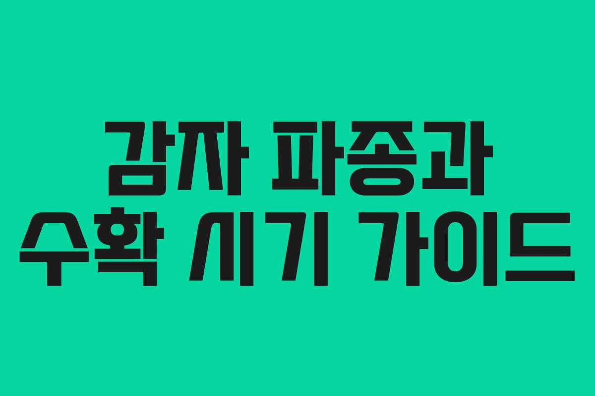 감자 파종과 수확 시기 가이드