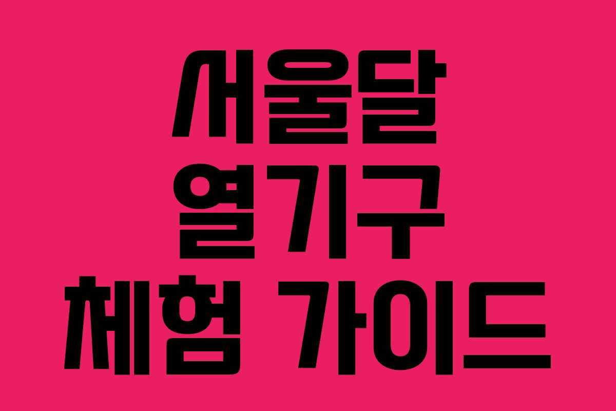 서울달 열기구 체험 가이드